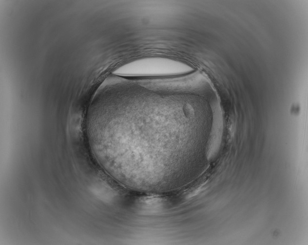 X0000090900219200708131359