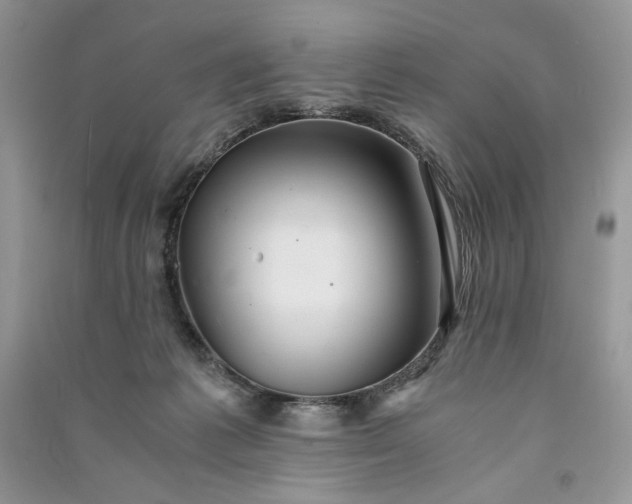 X0000090900221200708131359