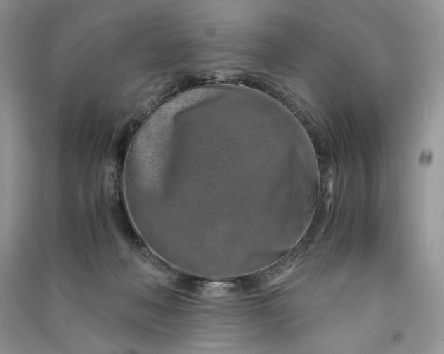 X0000090900222200708131359