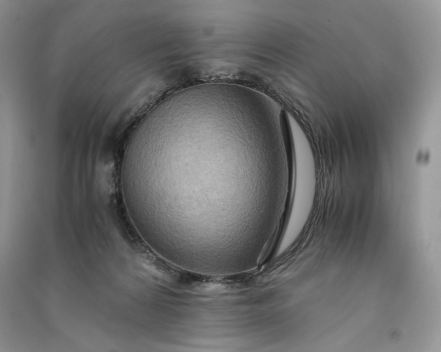 X0000090900224200708131359