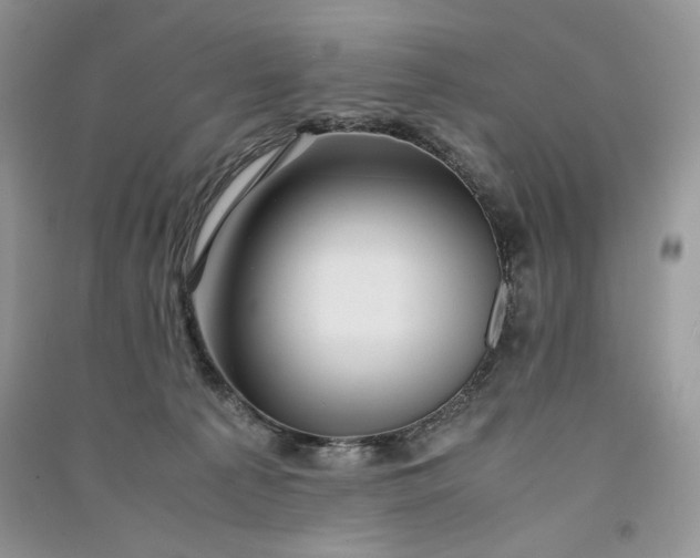 X0000090900225200708131359