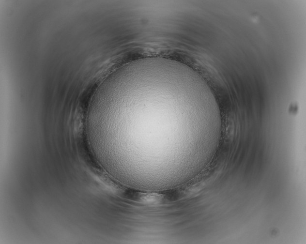 X0000090900226200708131359