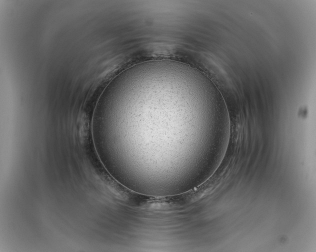 X0000090900228200708131359