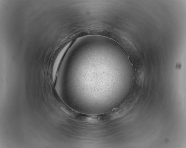 X0000090900232200708131359