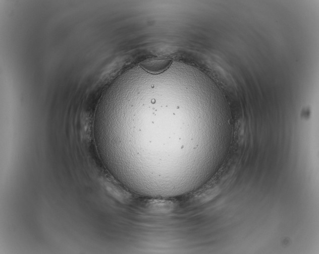 X0000090900234200708131358