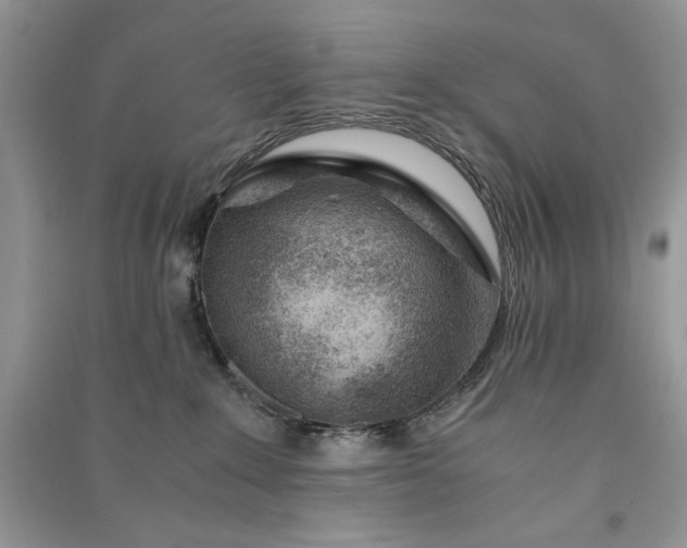 X0000090900235200708131358