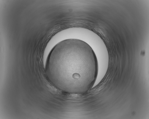 X0000090900237200708131358