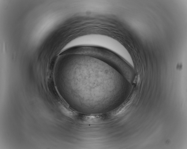 X0000090900239200708131358