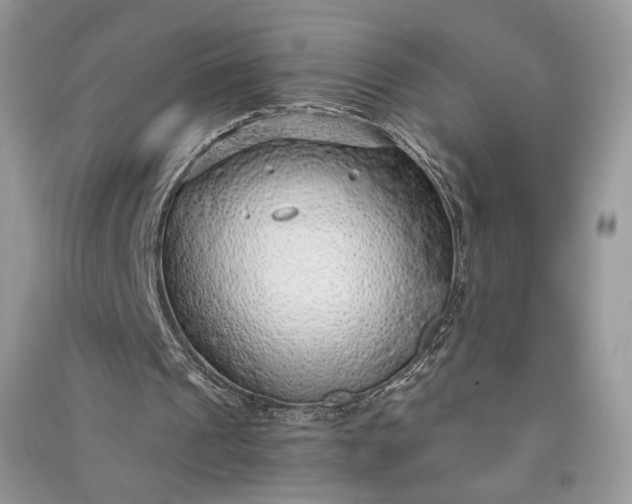 X0000090900241200708131358