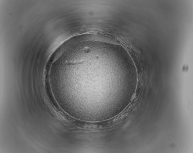 X0000090900242200708131358