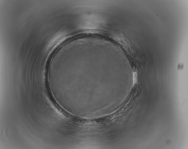 X0000090900243200708131358