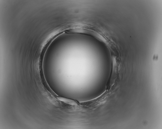 X0000090900244200708131358