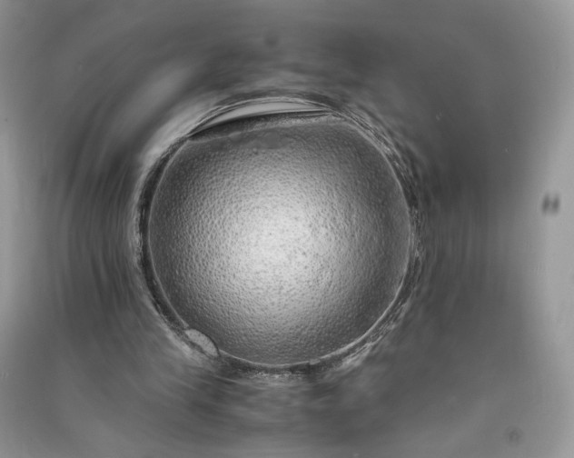 X0000090900245200708131358