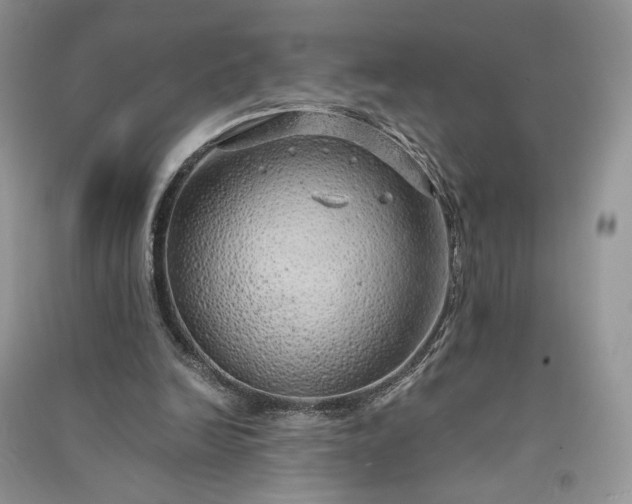 X0000090900246200708131358