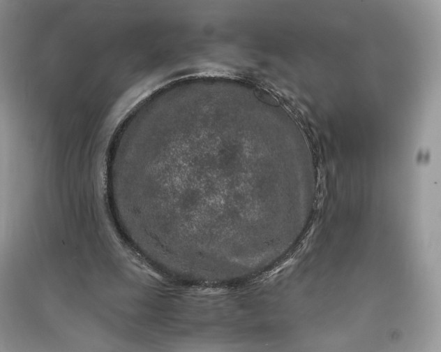 X0000090900247200708131358