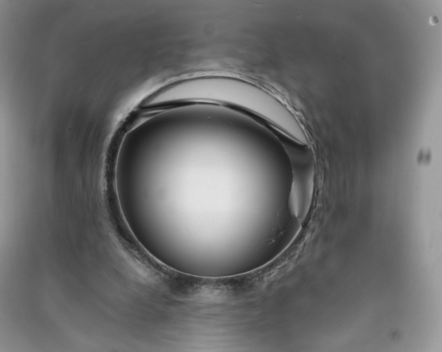 X0000090900248200708131358