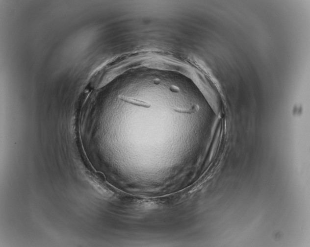 X0000090900249200708131358