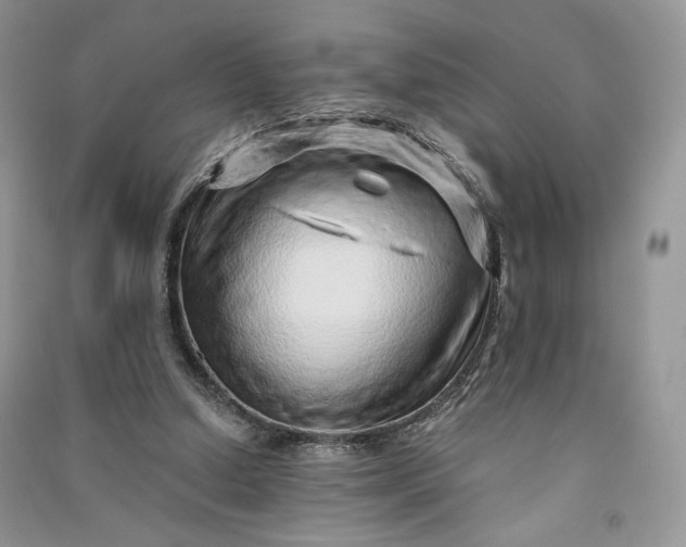 X0000090900250200708131358