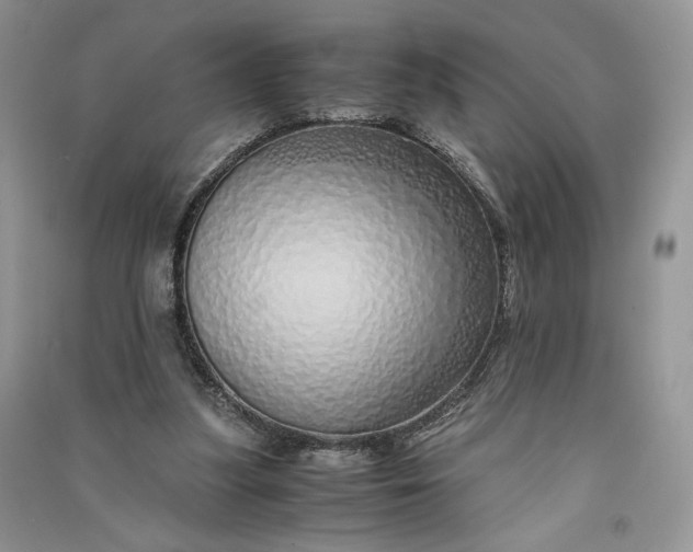 X0000090900251200708131358