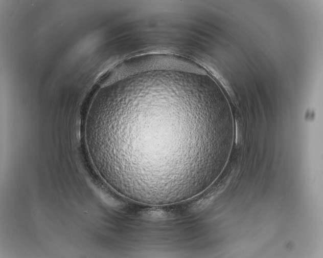 X0000090900253200708131358