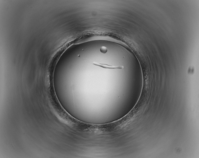 X0000090900254200708131358