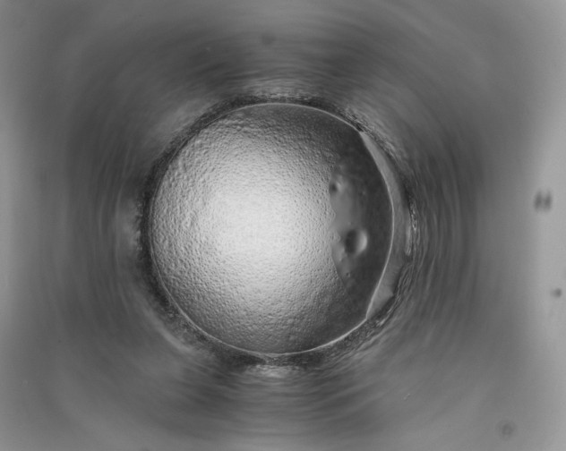 X0000090900255200708131358