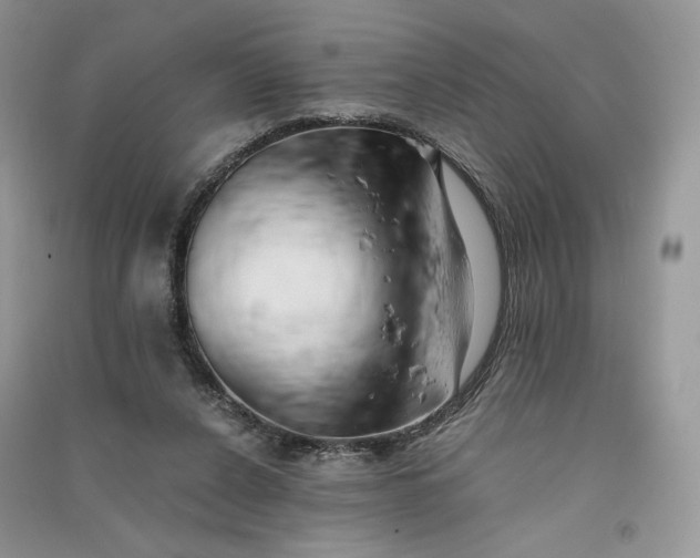 X0000090900256200708131358