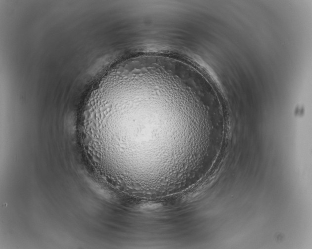 X0000090900257200708131358