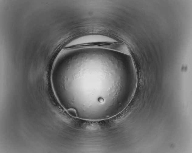 X0000090900258200708131358