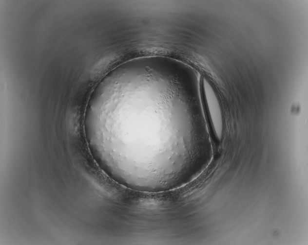 X0000090900259200708131358