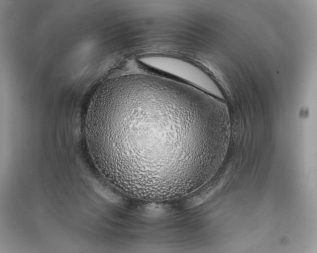 X0000090900261200708131358