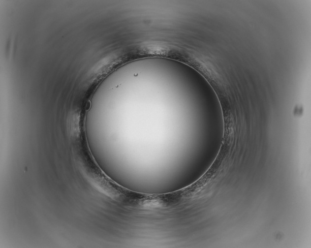 X0000090900262200708131358