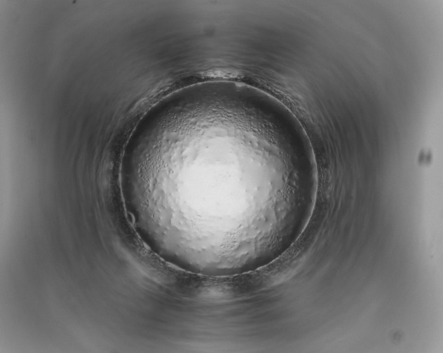 X0000090900263200708131358