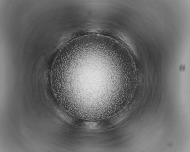 X0000090900265200708131358