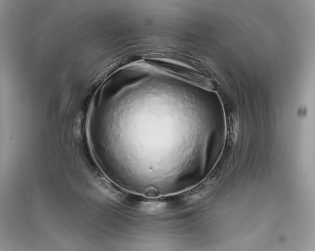 X0000090900266200708131358