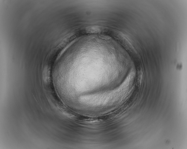 X0000090900267200708131358