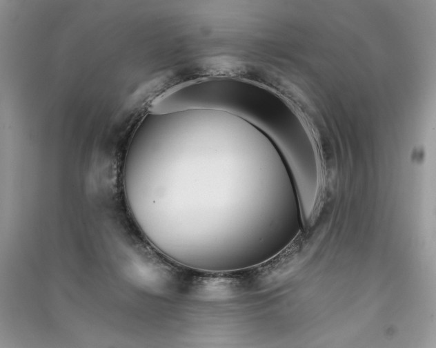 X0000090900268200708131358