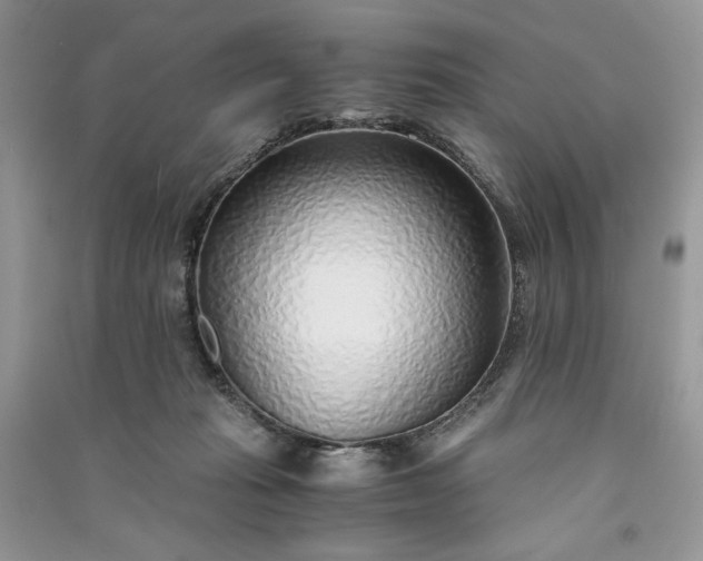 X0000090900269200708131358