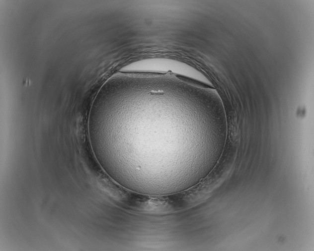 X0000090900270200708131358