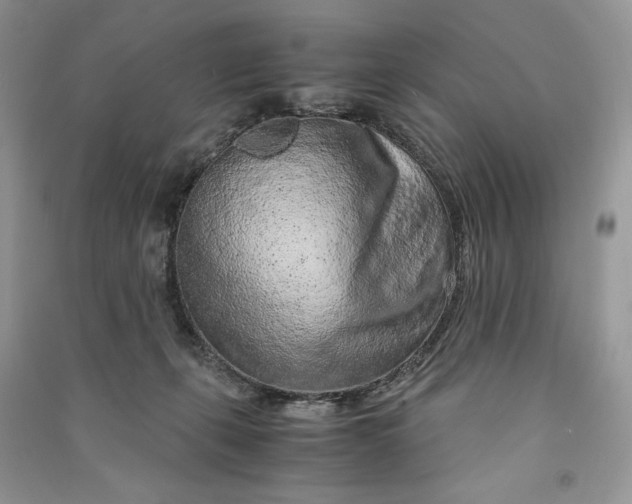 X0000090900271200708131358