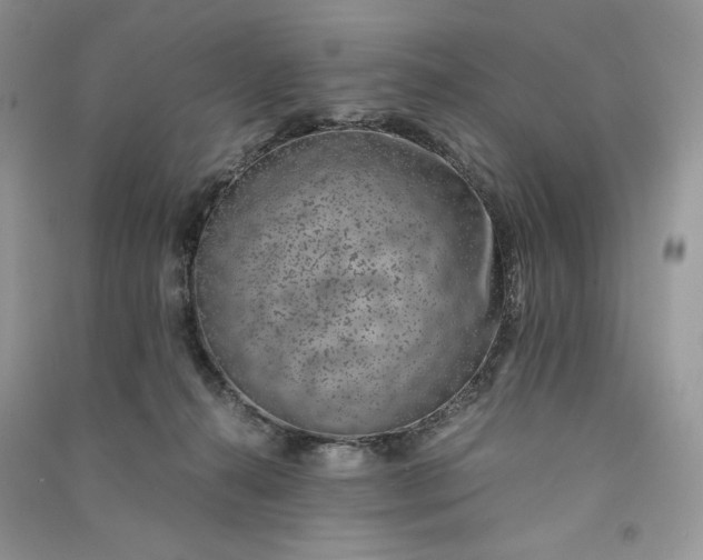 X0000090900272200708131358