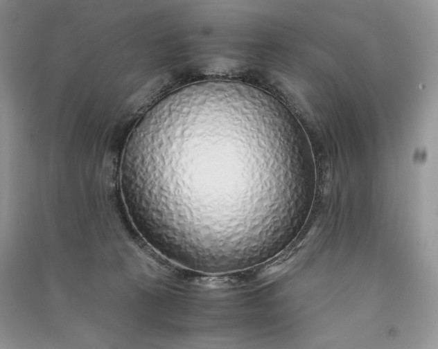 X0000090900273200708131358