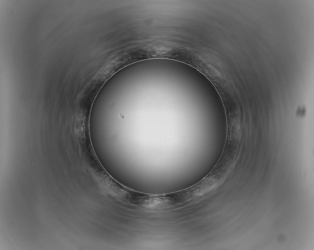 X0000090900274200708131358