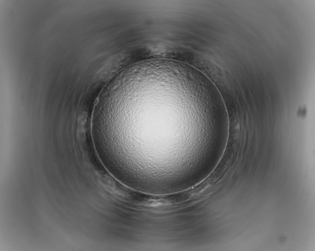 X0000090900275200708131358