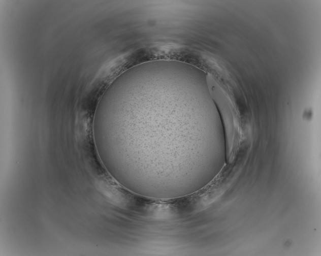 X0000090900276200708131358