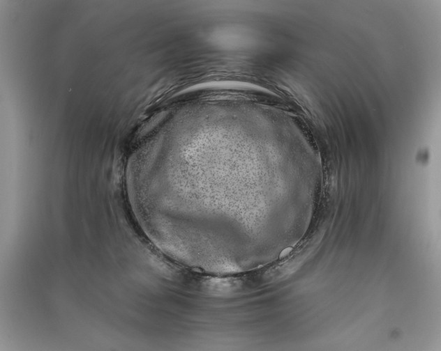 X0000090900277200708131358