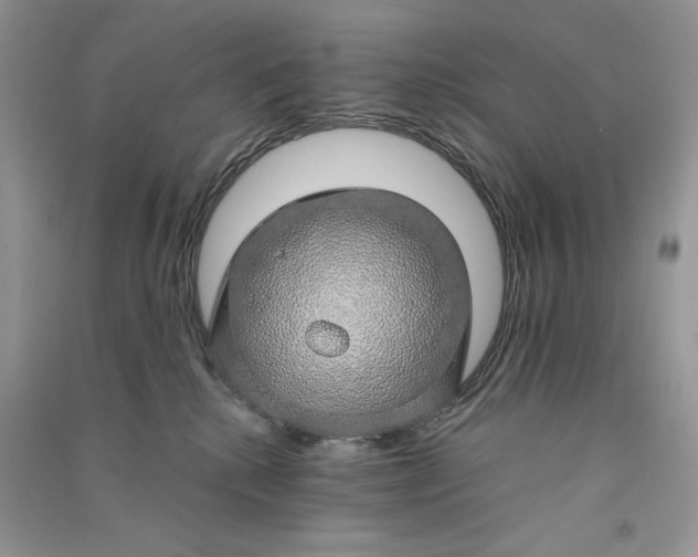 X0000090900280200708131358