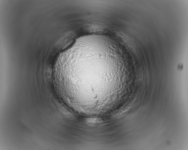 X0000090900281200708131358