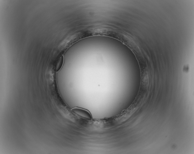 X0000090900282200708131358