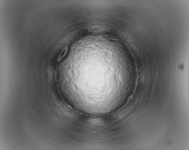 X0000090900283200708131358